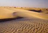 India - Thar desert