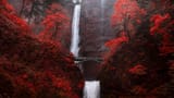 multnomah falls