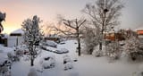 Suburban Snow