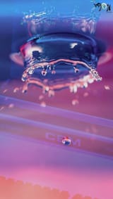 IMG_1084