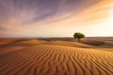 iStock-658653498