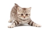 Fotolia_10299968_Subscription_L