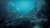 tomasz-polak-walmart-ocean-1