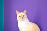 Stuart posing