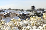 Snowy morning in Kyoto