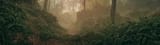 51202153042_d35ab81521_o