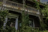 Overgrown School