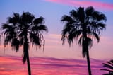 SD sunset