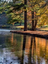 Avondale Lake
