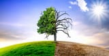 AdobeStock_253749906