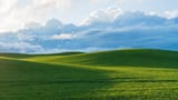 The Field