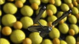 The Corbomite Maneuver