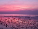 Bang Pu, Samut Prakan, Thailand