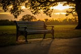 bench