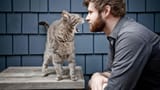 man-cat-4572