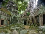 Cambodia_SiemReap_TaProhmTemple-01