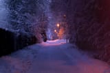 Colours of Snow