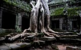 Cambodia_SiemReap_TaProhmTemple-02