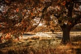 natures warmth