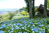 blue3