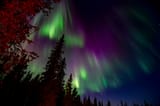 52534141320_f539aafa4a_o
