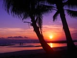 Sunset Costa Rica - Pura Vida