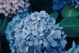DSC00414-k