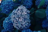 DSC00416-k