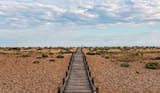 Dungeness-Destination-Guide