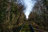 A railway overgrown with moss