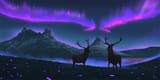 inaki-andonegi-northernlights