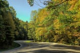 Early Fall Morning at Vogel State Park