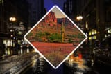 desert escape
