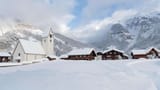 Schnee_Winter__Elm_Maya Rhnyner (3)-b51n0xgrfn3hr6s