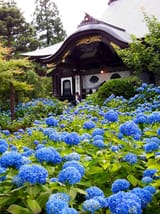 unshoji-temple-entrance
