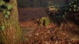 chaba-agoston-forestdiorama-2