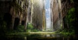 Overgrown_City