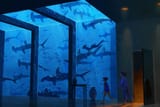 enchanted_hallway_by_tamberella_ddw7gja