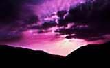 02767_purplemorning_2304x1440 (1)