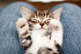 GettyImages-138468381-scaled-e1619028416767