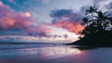 tropical