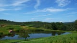 Mercier Orchards