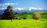 Ruahine mountains