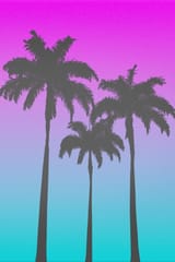 17090916_1696521315095261