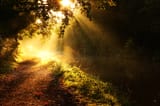 walk of light
