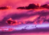 pink clouds