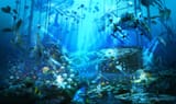 Mystery of underwater treasure