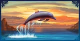 Neelai_dolphin