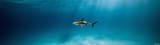unsplash