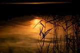 Calm